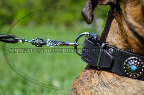 Boxer Leather Collar Of Top Quality