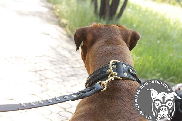 Boxer brown leather collar 2 ply with riveted hardware for perfect control