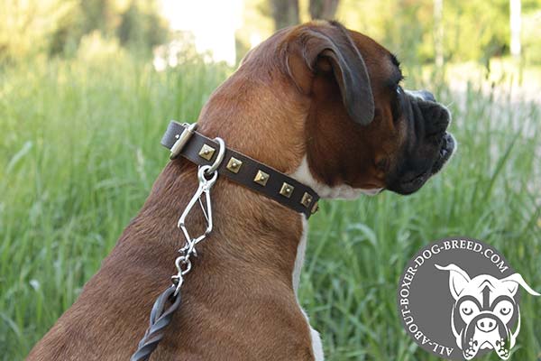 Boxer brown leather collar with duly riveted nickel plated hardware for perfect control