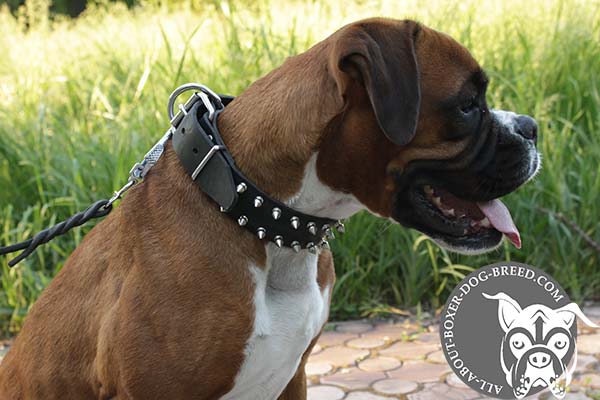 Boxer black leather collar with reliable nickel plated hardware for any activity