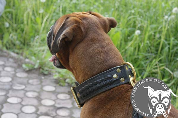 Leather Collar woth Brass D-Ring for Boxer