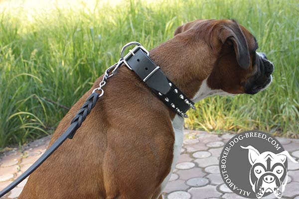 Leather Boxer Collar with Nickel Plated Spikes 