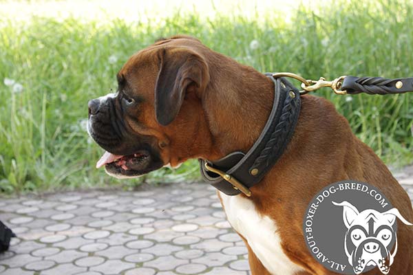 Wide Leather Stitched Boxer Collar
