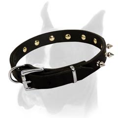 Perfect Leather Quality of Collar