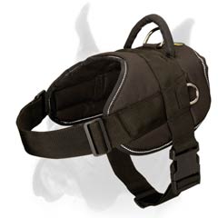 Amazing all-weather Dog Harness