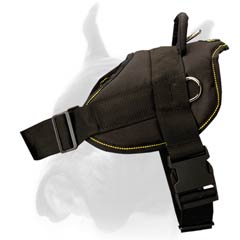 Easy adjustable all-weather Harness