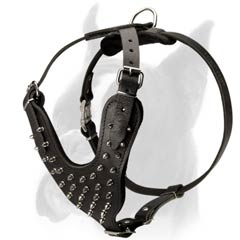 Harness with Broad chest plate
