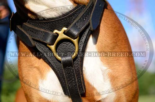 Exclusive Dog Harness for attack/agitation training