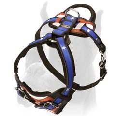 Dog Harness with Be-in-control handle