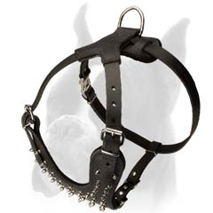 Harness decorated with Silver-like spikes