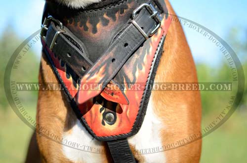 Genuine Leather Agitation/Attack Training Harness with Exclusive Pattern for Boxers