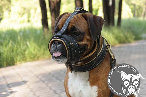 Leather Boxer Muzzle with Open Ended Construction