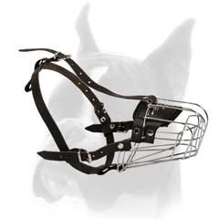 Wire Cage Muzzle for Boxer with Spacious Cage