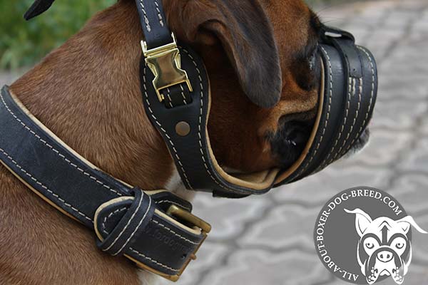 Boxer leather muzzle with durable brass plated hardware for professional use