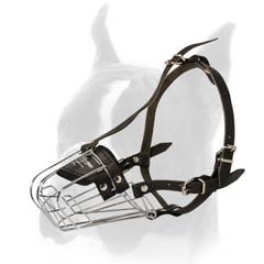 Great Boxer Wire Cage Muzzle for Long Walking