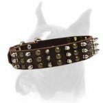 Studded Boxer dog Collar for excellent style