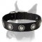 Nylon Dog Collar with Silver Conchos for all-weather walks and training