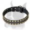 Unique leather studded collar for Boxer
