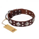 "King of Grace" FDT Artisan Stylish Leather Boxer Collar with Old Silver-Like Plated Decorations