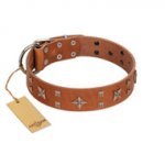 "Dreamy Gleam" FDT Artisan Tan Leather Boxer Collar Adorned with Stars and Squares