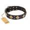 "Fancy-Schmancy" FDT Artisan Studded Leather Boxer Collar