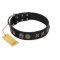 "Century Silver" Designer Handmade FDT Artisan Black Leather Boxer Collar