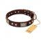 "Pirate Skull" FDT Artisan Brown Leather Boxer Collar with Old Silver Look Plates and Skulls