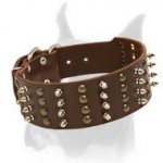 Extra Wide Boxer Leather Collar with Columns of Spikes and Studs