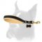 Durable and Comfortable Short Leash for Boxer