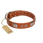 "Pawsy Glossy" FDT Artisan Exclusive Tan Leather Boxer Collar 1 1/2 inch (40 mm) wide