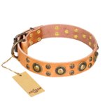 'Sophisticated Glamor' FDT Artisan Boxer Tan Leather Dog Collar with Stylish Old-Bronze Plated Decorations