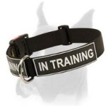 Excellent Identification Dog Collar for Boxer