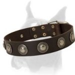 Wide Leather Buckle Collar with Exquisite Silver Plated Conchos for Boxer
