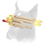Adult Dog Training Set made of Jute