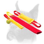 Puppy Training Set for Fun Training