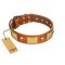 "Mutt The Daredevil" FDT Artisan Tan Leather Boxer Collar with Old Bronze-like Skulls and Plates