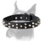 Exclusive Dog Collar made of Best Quality Leather and Nickel-plated Hardware