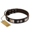 "Baller Status" FDT Artisan Brown Leather Boxer Collar Adorned with a Set of Chrome Plated Studs and Plates