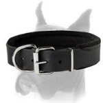 Leather Dog Collar Padded with Thick Felt for Boxer