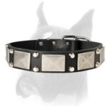 Designer Dog Collar for Happy Walking and Training your Boxer