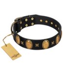 "Doggie Woggie" Designer Handmade FDT Artisan Black Leather Boxer Collar with Ovals and Studs