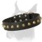 Stylish Wide Leather Boxer Collar with Brass Studs Decoration