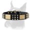 Leather Dog Collar with Spikes, Studs and Brass Plates for Boxers