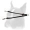 Wonderful any-weather nylon Boxer coupler for walking 2 dogs