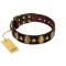 "Retro Pusle" FDT Artisan Brown Leather Boxer Collar with Old Bronze-like Studs and Oval Brooches