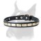 Wonderful leather Boxer collar with plates