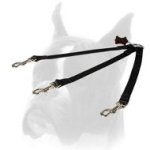 Nylon Boxer Coupler Leash for walking three dogs in any weather