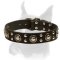 Modern Studded Dog Collar in Rocker Style