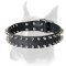 Posh leather Boxer collar decorated with spikes