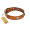 "Celtic Tunes" FDT Artisan Tan Leather Boxer Collar Adorned with Stars and Squares